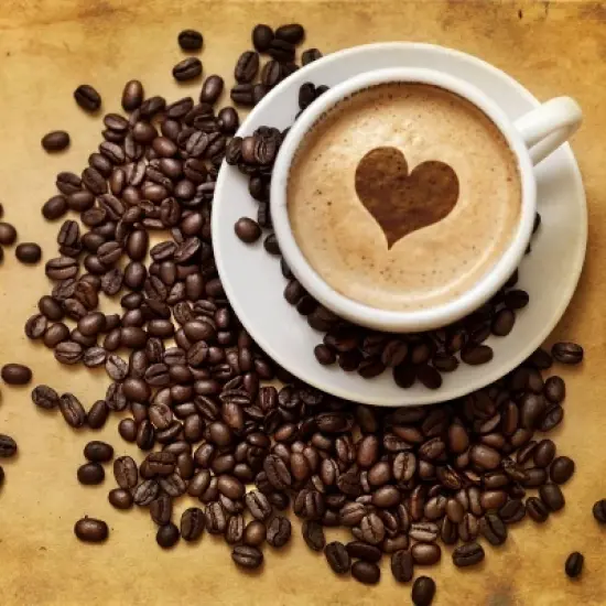 Kaya Kopi Premium Kaya Kopi From Indonesia Wild Palm Civets Process Arabica Whole Coffee Beans with Coffee Filter image {5}