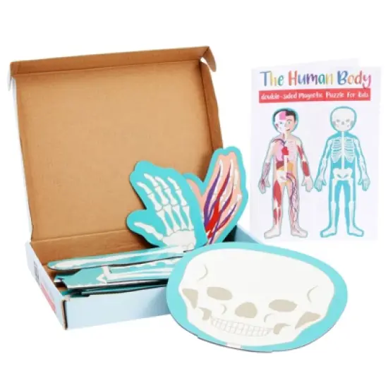 Blue Panda 17-Pcs Large Magnetic Human Body Puzzle for Kids, Double-Sided Anatomy and Organs, Skeleton, Body Parts Model (3 ft) image {7}