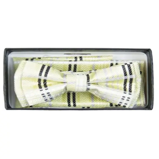 Young Boy's Fancy Pre-tied Adjustable Band Bow Tie With Hanky image {3}