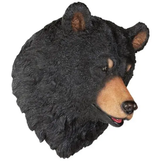 Design Toscano American Black Bear Sculptural Wall Trophy image {3}
