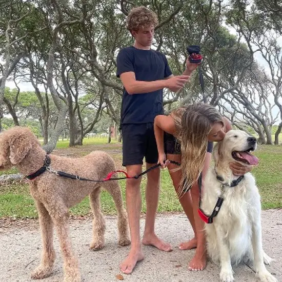 Black Rhino 6ft Dog Leash with Two Traffic Padded Comfort Handles for Safety Control Training - Purple image {3}