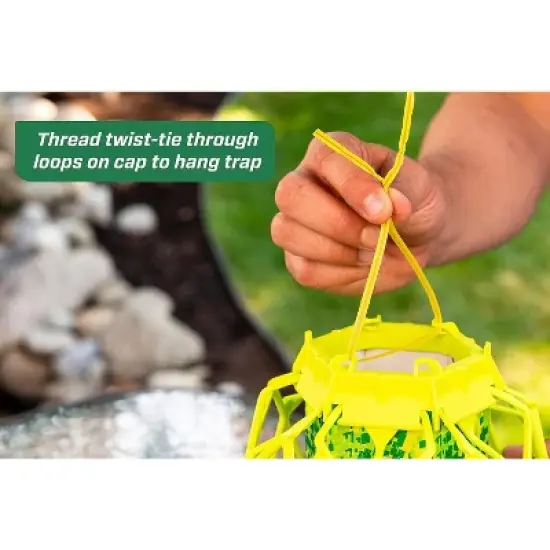 RESCUE! TrapStik for Wasps, Mud Daubers, Carpenter Bees - 3 Pack image {7}