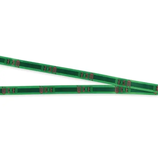 Wicked Breakaway Lanyard Elphaba Defy Gravity ID Holder With 2" Rubber Charm Green image {3}