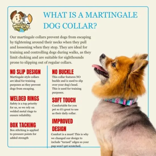 Country Brook Petz HossFit Jr Wide Martingale Dog Collar - Country and Western Collection image {3}