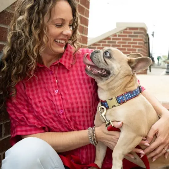 Country Brook Petz Signature Dog Collar Collection image {3}