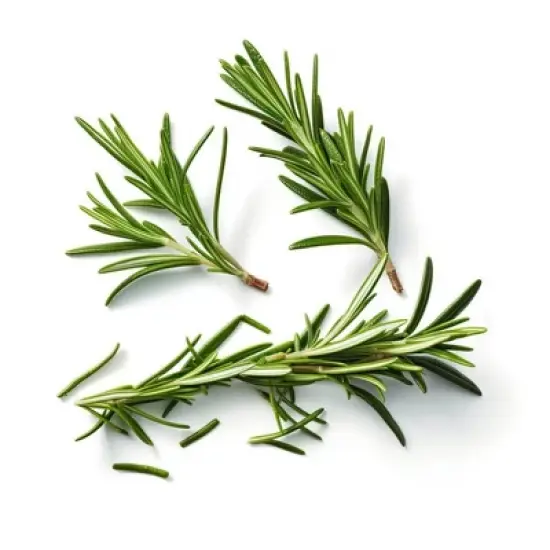 iSpice | Rosemary Ground | 4 oz | Premium Herbs | Kosher | Culinary boost image {6}