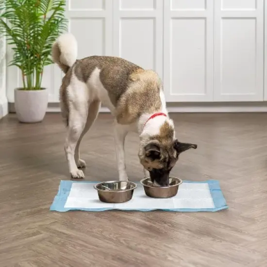 IRIS USA Puppy Pads with Quick-Dry Leak-Proof Design for Potty Training, Regular Size 22x22 Inch, 100 Count image {5}