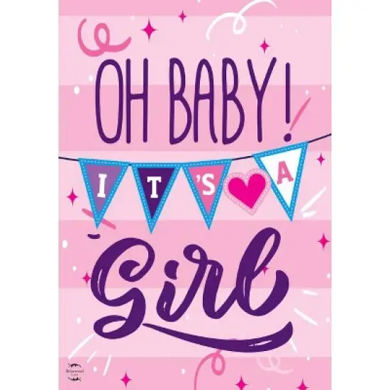 Briarwood Lane Double Sided Garden Flag 18x12.5 For Outdoor Baby Girl Double-Sided Garden Flag Flag Garden Flag Flags For Outside image {2}