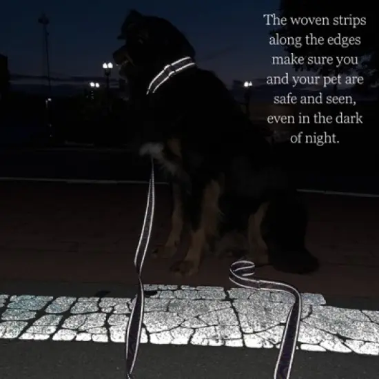 Country Brook Petz HossFit Jr Wide Reflective Martingale Dog Collar Collection Featuring Night Safe Designs image {1}