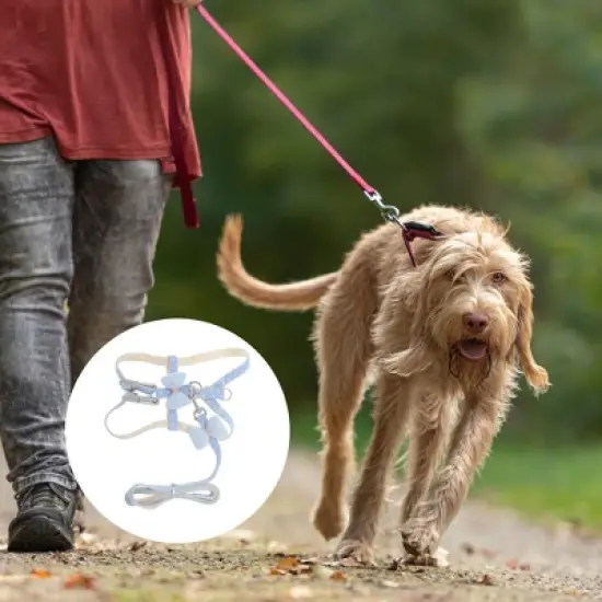 Unique Bargains Durable Bow Pet Leash Kit 1 Set image {1}