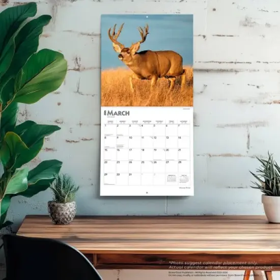 BrownTrout Monster Bucks 2026 12"x24" Hanging Square Wall Calendar Plastic-Free image {4}