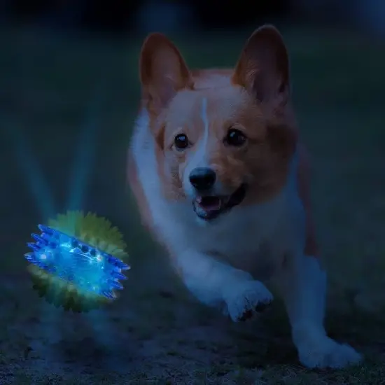 NERF Translucent 3-Part Spike LED and Squeak Dog Ball Toy - Blue/Green image {2}