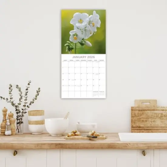 2026 Square Wall Calendar, Beauty of Flowers, 16-Month Floral Theme, 180 Reminder Stickers (12x12 In) image {1}