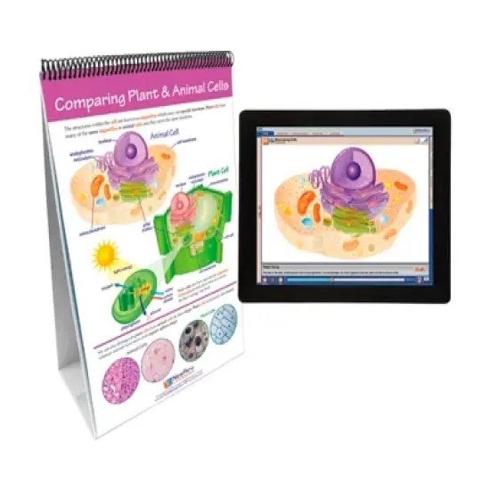 NewPath Learning All About Cells Flip Chart and Online Multimedia Lesson image {1}