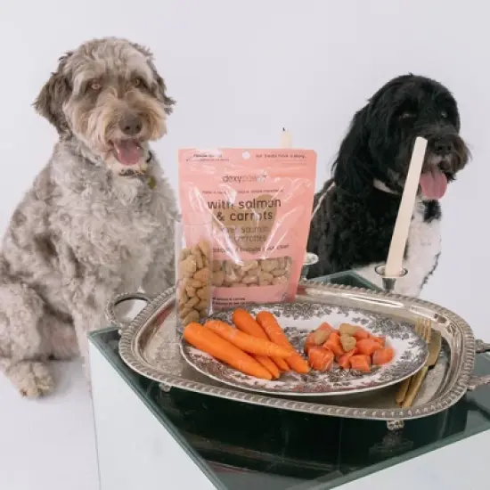 Dexypaws Salmon & Carrot Dog Biscuits 12oz - All Natural Pet Treats, Protein image {3}