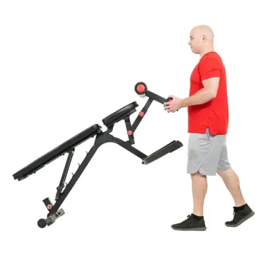 Sunny Health & Fitness Fully Adjustable Utility Weight Bench image {3}