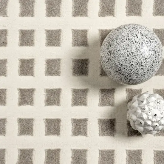 Nuloom Daleyza Checkered Pet Friendly Textured Machine Washable Area Rug image {8}