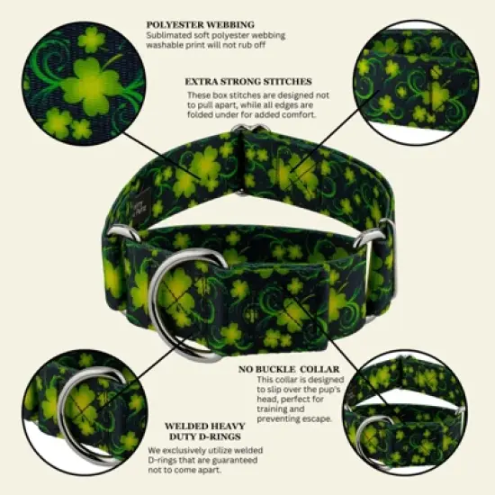 Country Brook Petz HossFit Jr Wide Martingale Dog Collar - Irish Pride image {5}