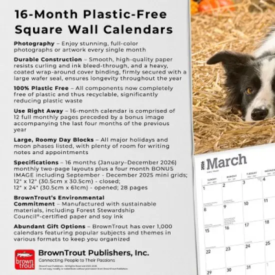 BrownTrout Border Collies 2026 12"x24" Hanging Square Wall Calendar Plastic-Free image {5}