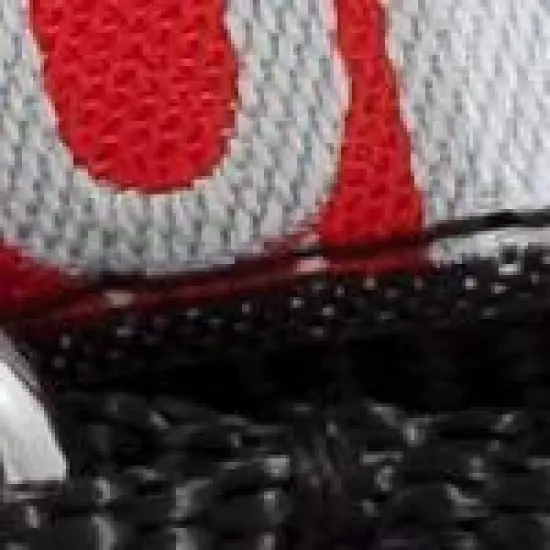 The License House Ohio State Buckeyes Dog Colorblock Collar image {2}