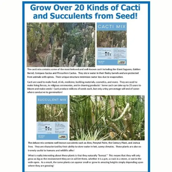 Toys By Nature: Desert Dome - DIY Terrarium Kit, Grow Mini Cacti & Succulent image {7}