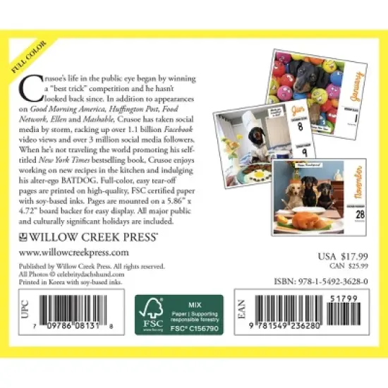 Willow Creek Press 2024 Daily Desk Calendar 5.2"x6.2" Crusoe the Celebrity Dachshund image {1}