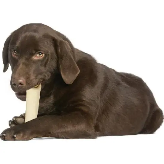 Cadet 10 Inch Rawhide Retriever Rolls image {1}