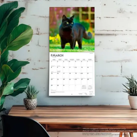 BrownTrout Black Cats 2026 12"x24" Hanging Square Wall Calendar Plastic-Free image {4}