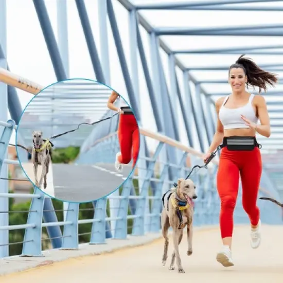 Unique Bargains Hands Free Dog Leash Black Silver Gray 1 Pc image {2}