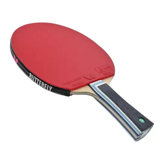Butterfly Viscaria Super ALC Pro-Line Racket + Dignics 05 + Dignics 05 image {1}