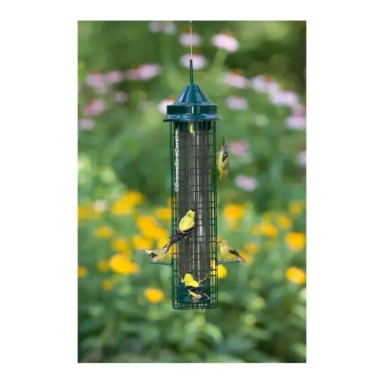 Brome 1016 Squirrel Buster Finch Feeder image {1}