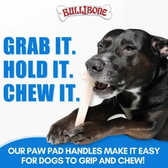 Bullibone Chew Toy for Large Dogs image {1}