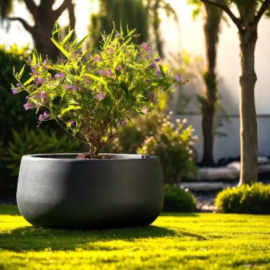 Rosemead Home & Garden, Inc. Concrete Outdoor Curvaceous Design Planter Pot Black 16"x16" image {3}