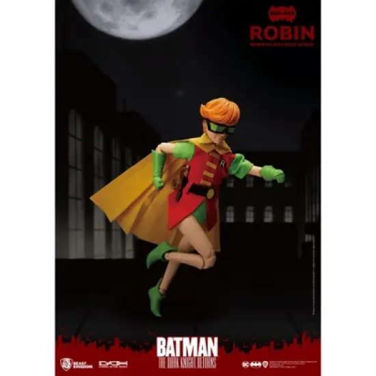 Warner Bros The Dark Knight Returns Robin (Dynamic 8ction Hero) image {2}