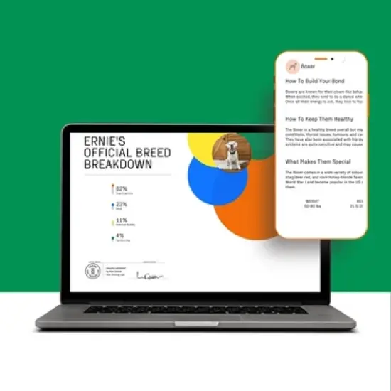 DNA My Dog Essential Dog Breed ID Test Kit image {5}