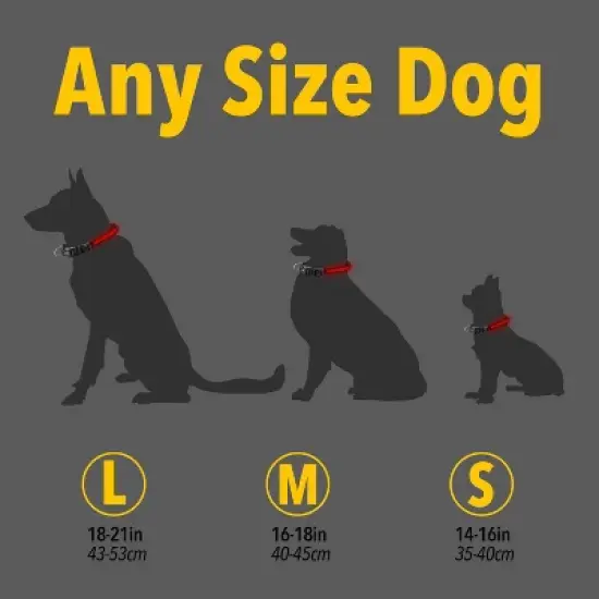 Life+Gear Rechargeable Glow Dog Collar - S image {6}