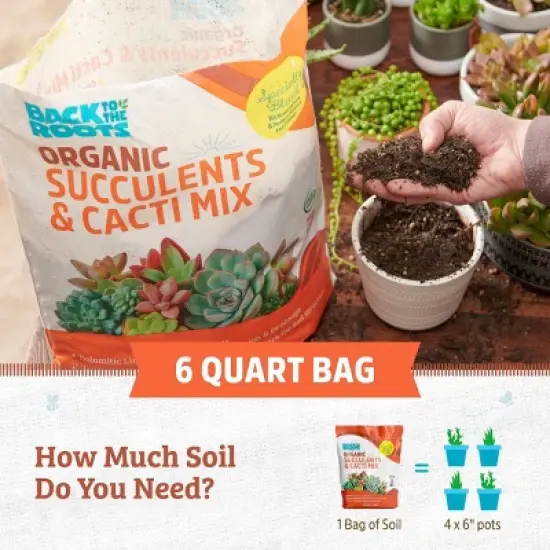 Back to the Roots 6qt Organic Succulents & Cacti Mix Specialty Blend: Fast Draining, pH Balanced image {10}
