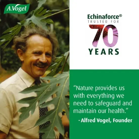 A. Vogel Echinaforce Echinacea Tablets &ndash; Fresh Organic Formula &ndash; 3X Stronger Herbal Supplement &ndash; Daily Immune Support &ndash; Non-GMO image {8}