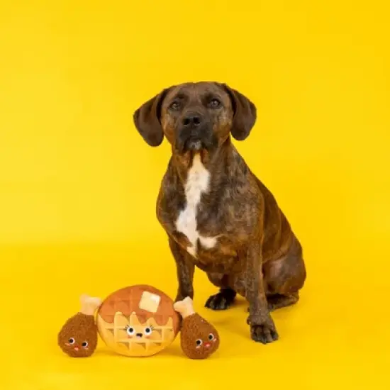 PetShop by Fringe Studio Waffle and Chicken Dog Toys - 3pk image {4}