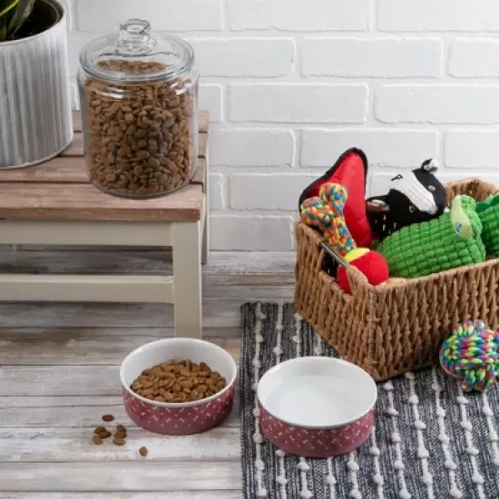 Bone Dry Pet Bowl - Tossed Bone & Paw Print Rose - Medium 6Dx2H Set/2 image {4}