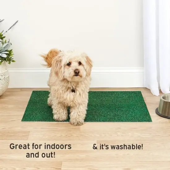 Drymate Drymate Potty Pad Green Grass image {7}