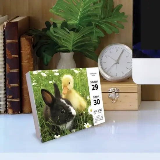 Willow Creek Press 2026 Baby Animals Box Calendar image {2}