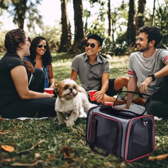 GOOPAWS Soft-Sided Travel Small Dog & Cat Carrier Bag, Gray/Red image {6}