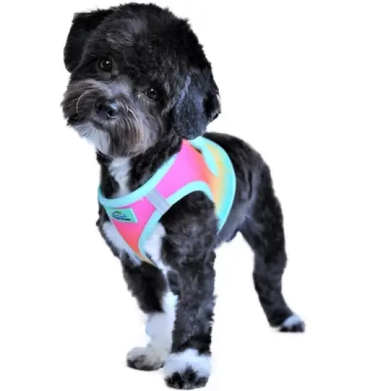 Doggie Design American River Choke Free Dog Harness Ombre Collection-Beach Party image {3}