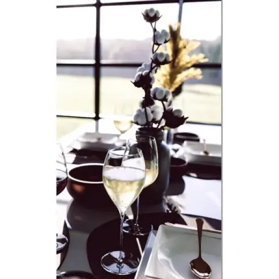 Stolzle Lausitz Set of 6 14.25oz Fino French Glasses Champagne: Crystal, Lead-Free, Dishwasher-Safe Flutes, 9.75" Height image {3}