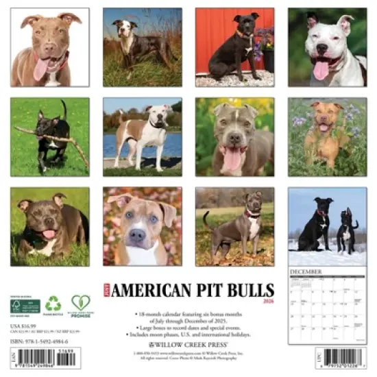 Willow Creek Press 12"x12" 2026 American Pit Bull Terriers Wall Calendar image {1}
