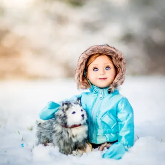 The Queen's Treasures 18 In Doll 13 Pc Ski Clothes and Dog image {3}