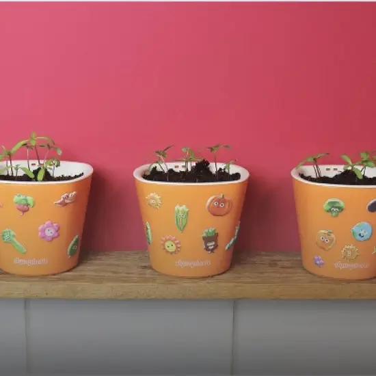 Window Garden Seed Starting Kit Plant Vegetables with 3 Self Watering Planters, Soil, Seeds & Puffy Stickers image {2}