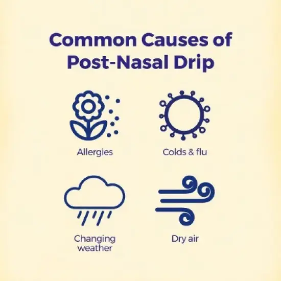 Hydrastis Canadensis 6C 3 MDT by Boiron Homeopathic Medicine For Post-Nasal Drip Relief  -  3 Tubes Box image {7}