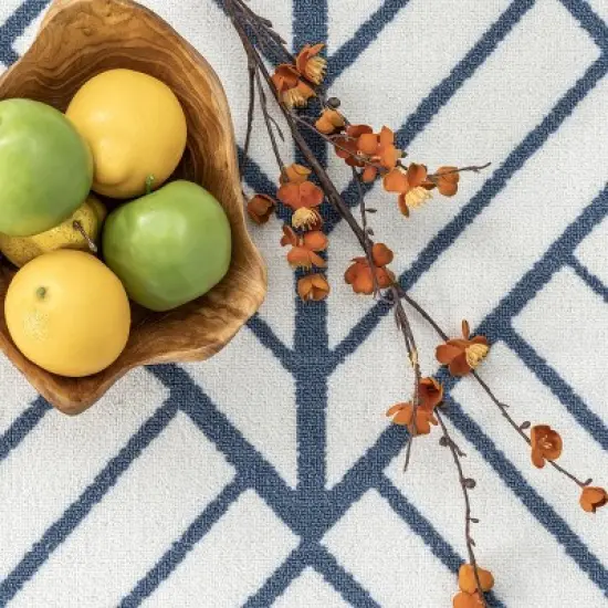 nuLOOM Tiffany Contemporary Diamond Indoor/Outdoor Patio Area Rug image {5}